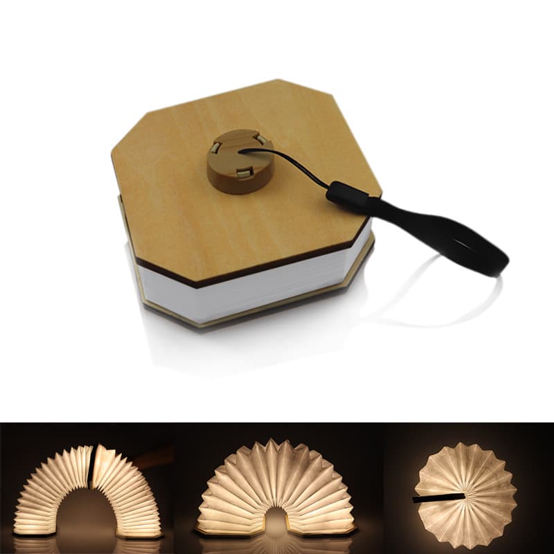 Novelty Organ Folding Book Lamp thumbnail 2