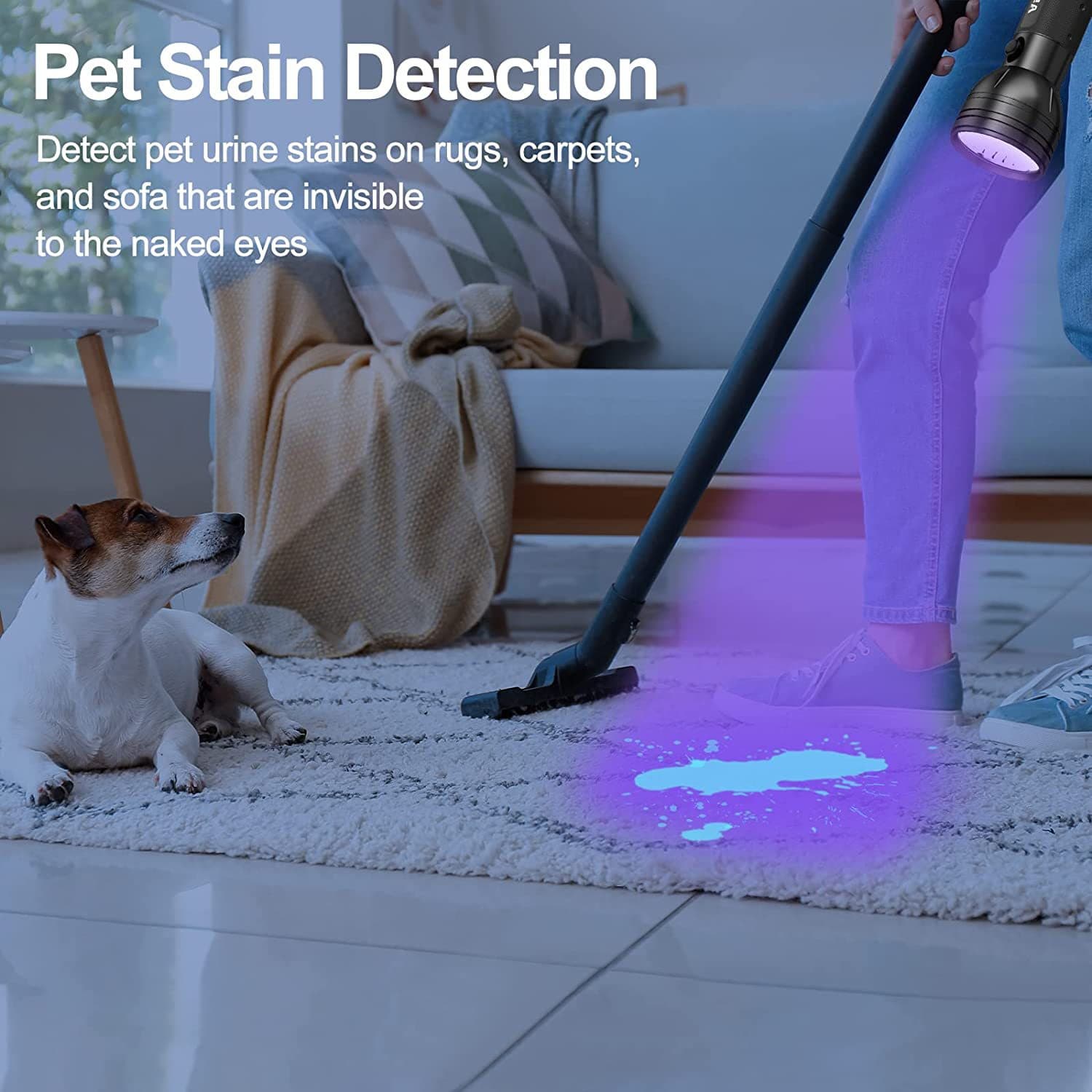51 Led Ultraviolet Blacklight Detector thumbnail 5
