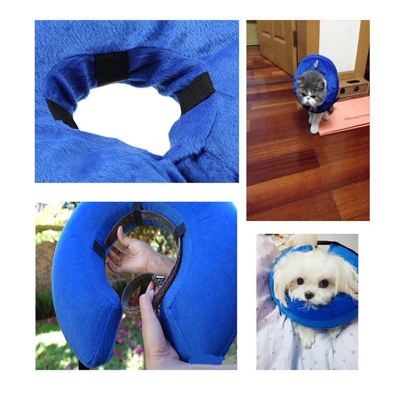Inflatable Pet Cone Collar thumbnail 3