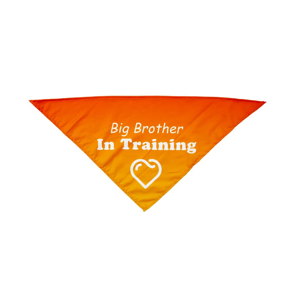 Dye Sublimated Large Triangle Pet Scarf thumbnail 12