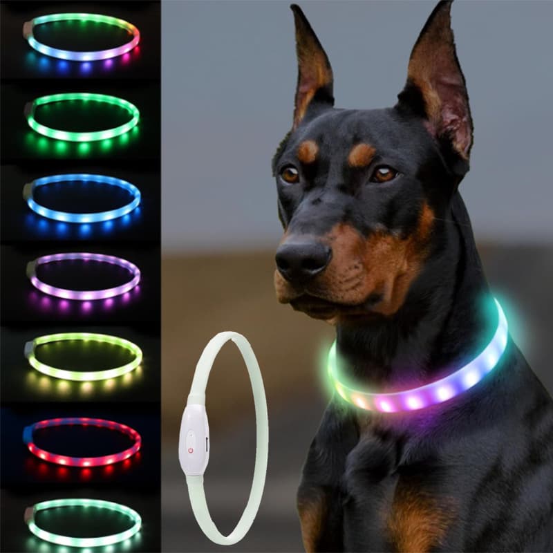 LED Dog Collar thumbnail 2