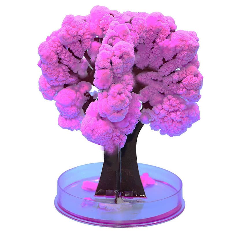 Magic Paper Growing Tree thumbnail 14