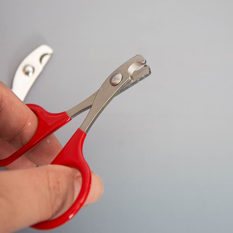 Nail Clippers For Small Pets Claw Trimmer Home Grooming Kit thumbnail 4