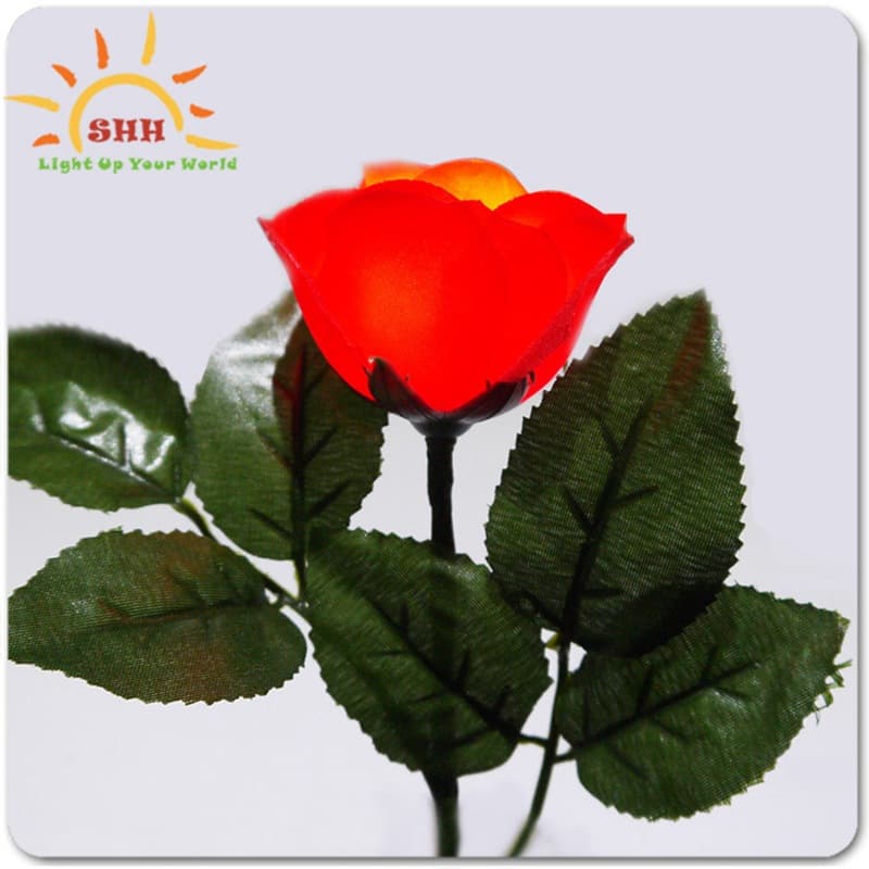 Light-Up Rose Multicolor thumbnail 7