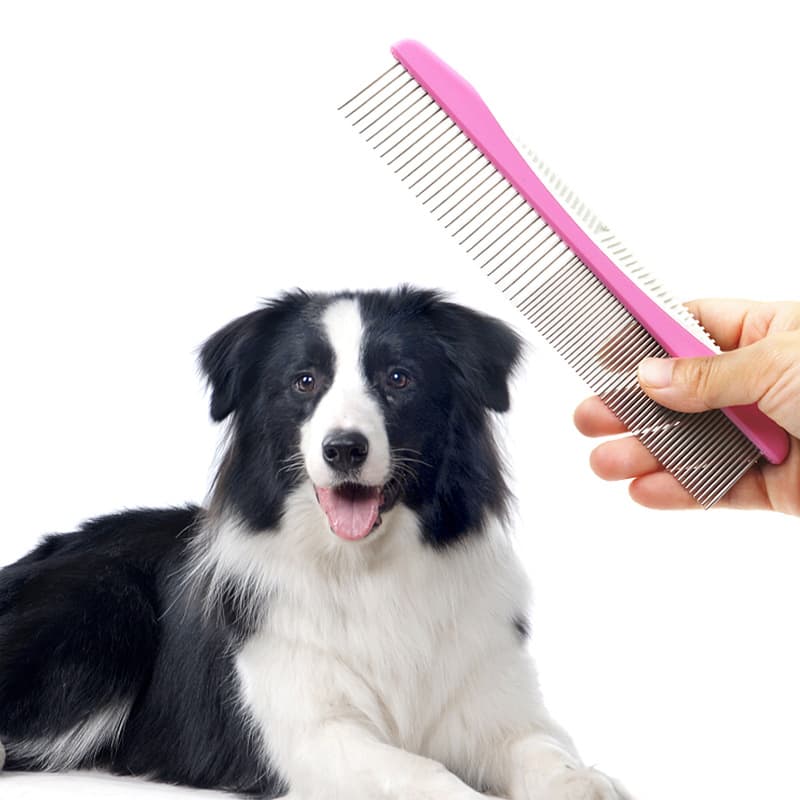 Pet Comb for Long & Short Haired thumbnail 2