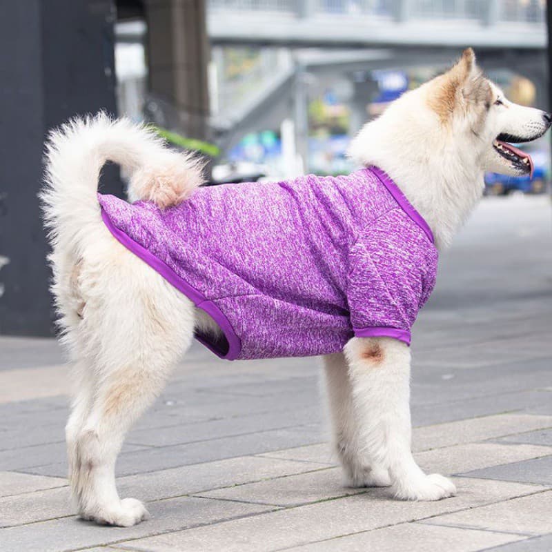 Letters Winter Pet Dog Hoodies Cotton Warm Clothes thumbnail 5