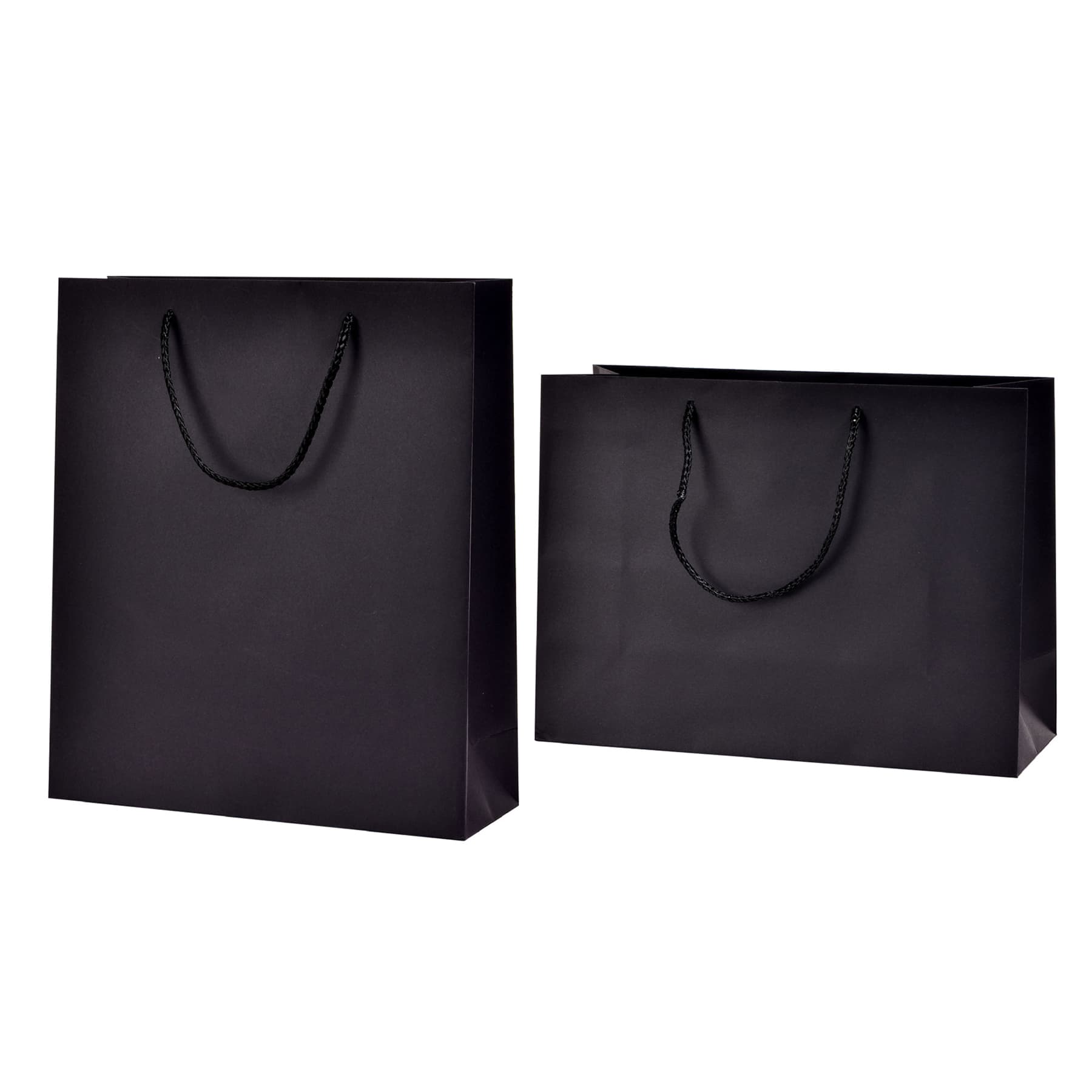 Matte Laminated Paper Shopping Bag thumbnail 3