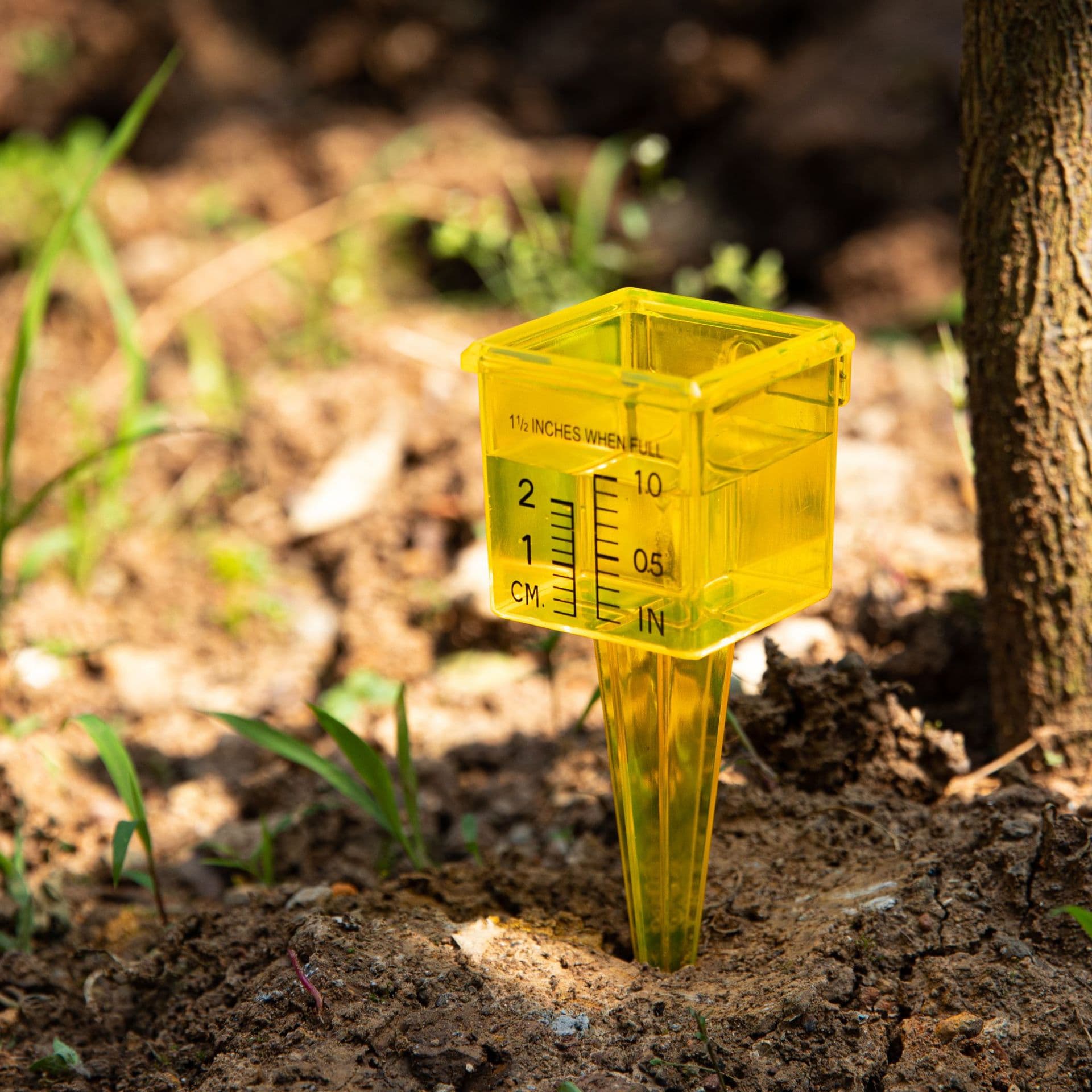 Garden Rain Sprinkler Water Gauge thumbnail 2