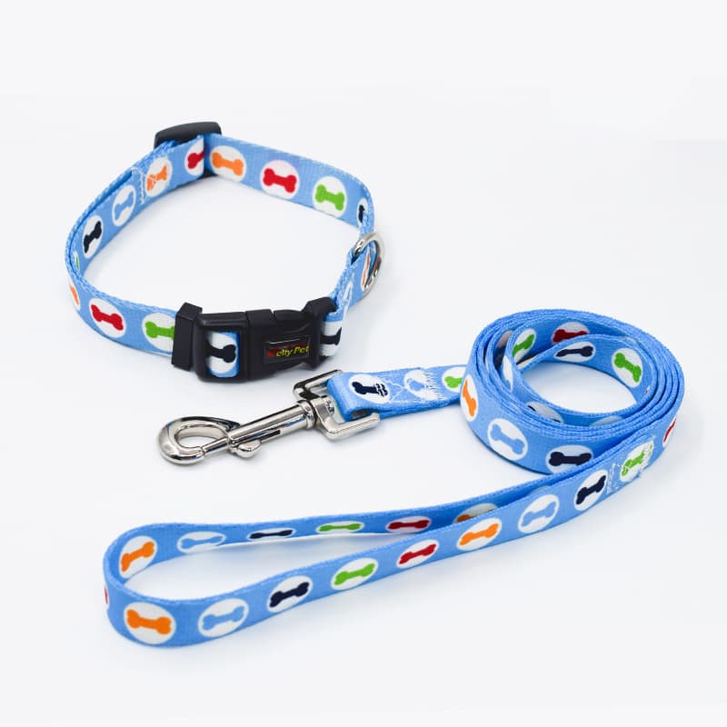 Pet Leash And Collar Set With Buckle thumbnail 5