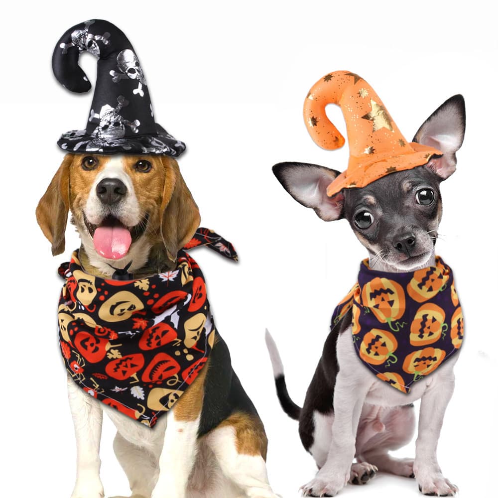 Halloween Hat/Scarf Decoration For Pet thumbnail 2