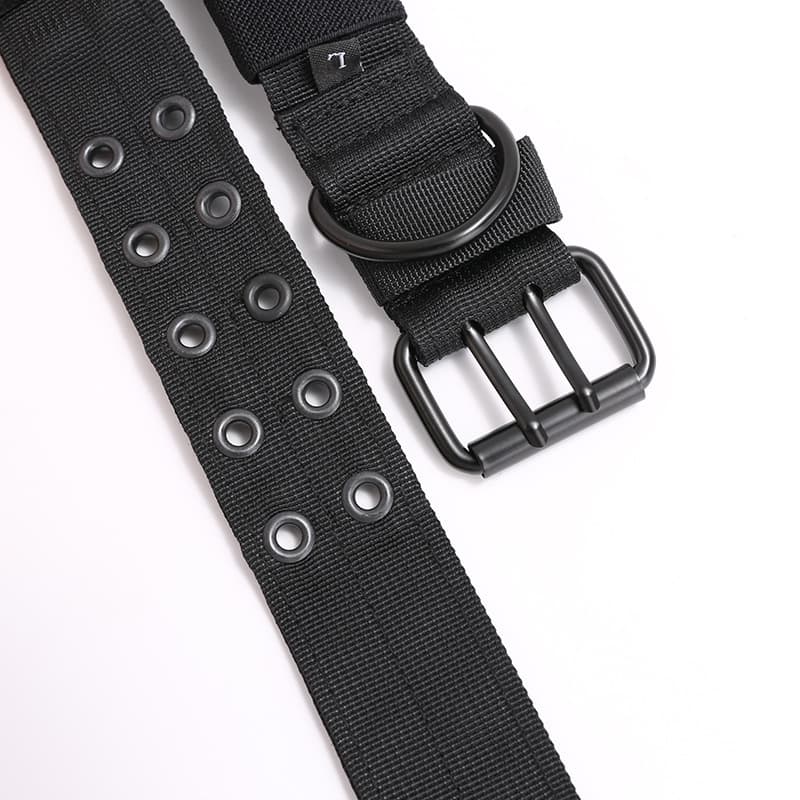 Medium and Large Nylon Dog Collar thumbnail 2