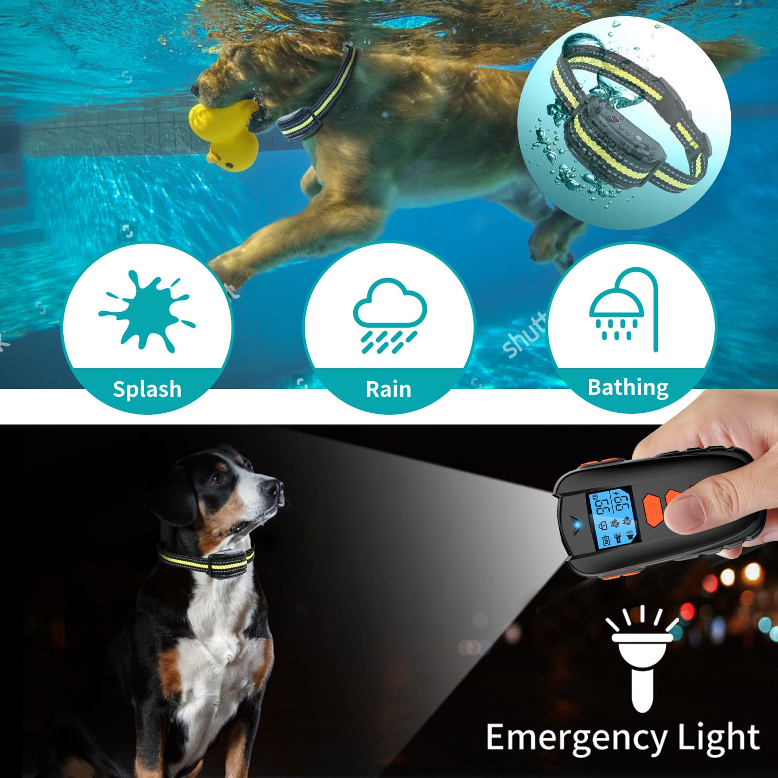 Dog Training Collar with Remote