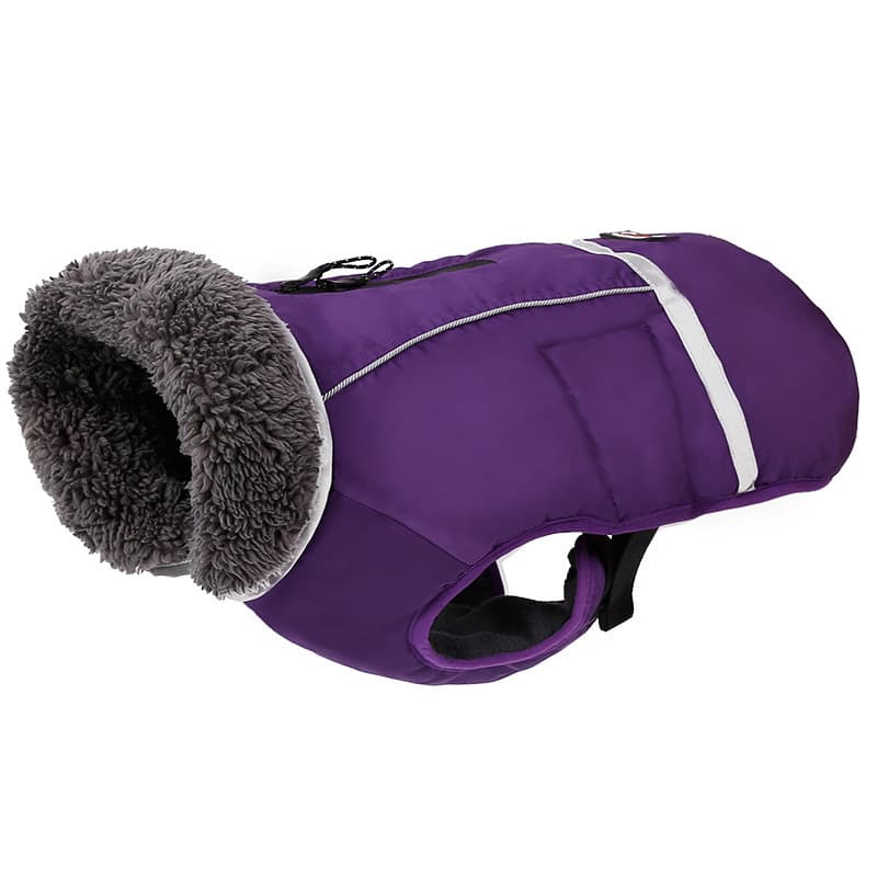 Pet Autumn And Winter Thick Jacket thumbnail 4