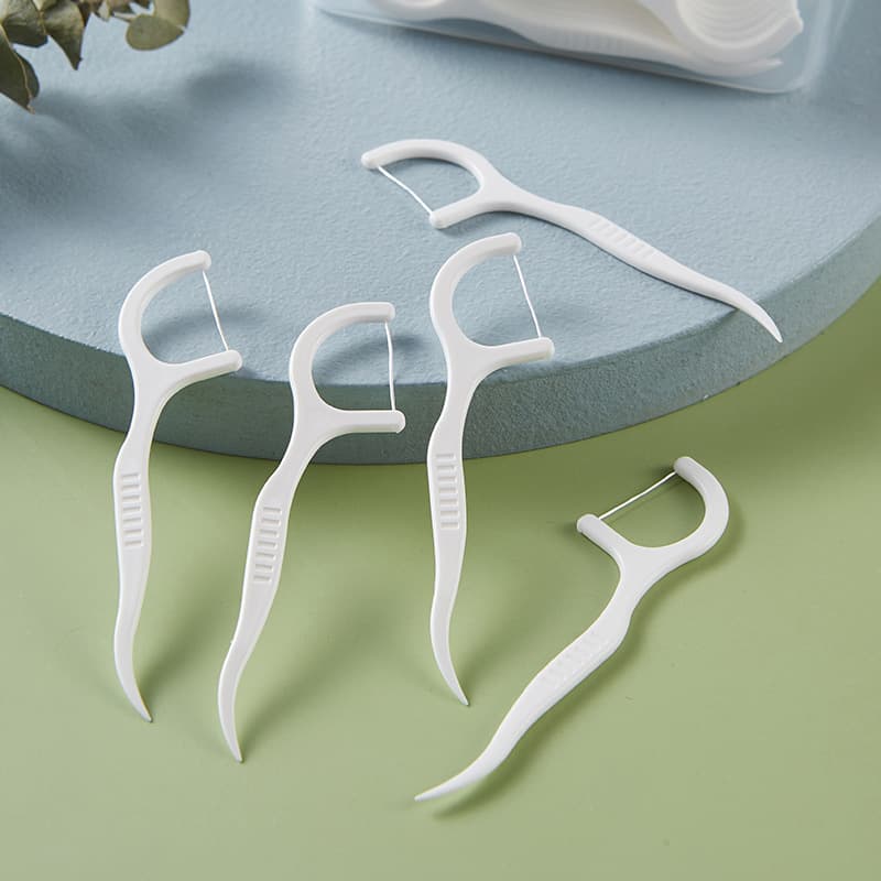 10 Pcs Dental Floss Kit
