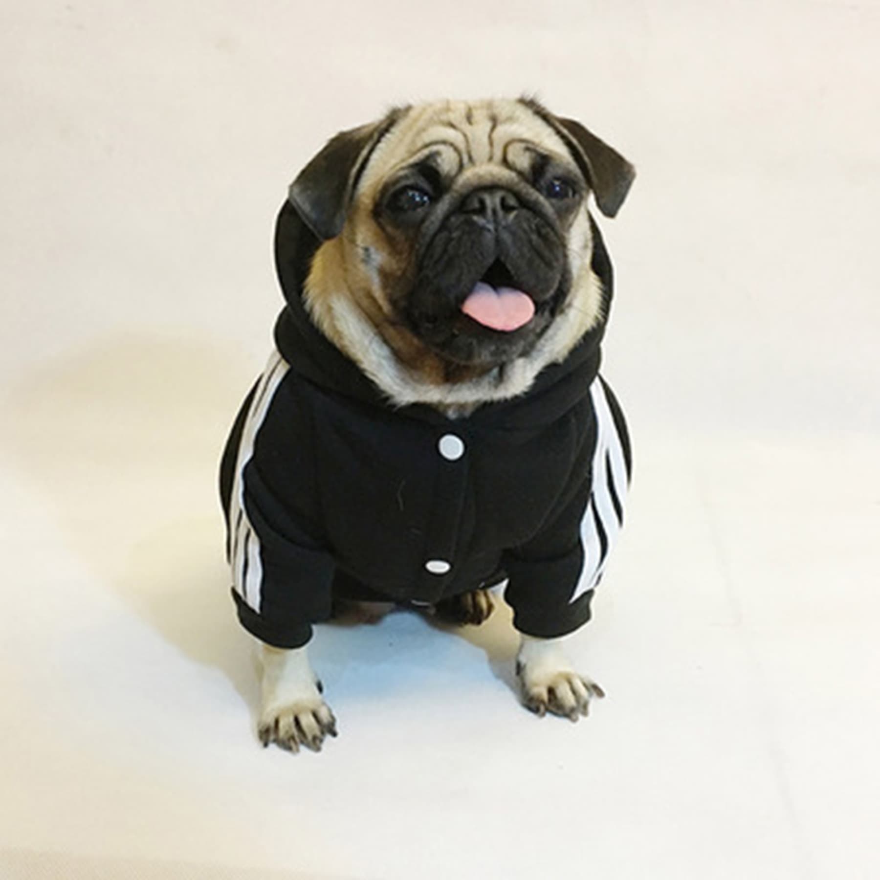 Dog Apparel thumbnail 5