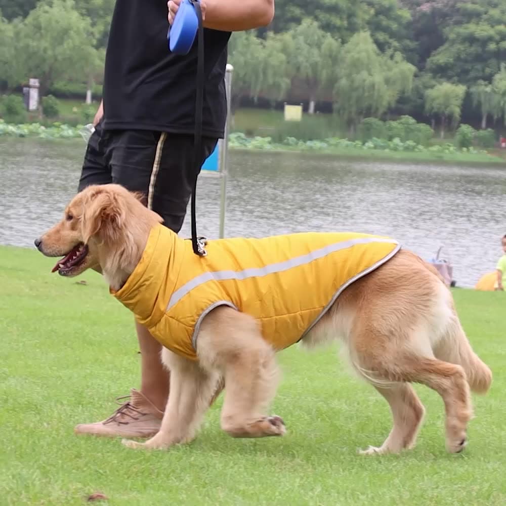 Dog Winter Jacket Reflective Waterproof thumbnail 2