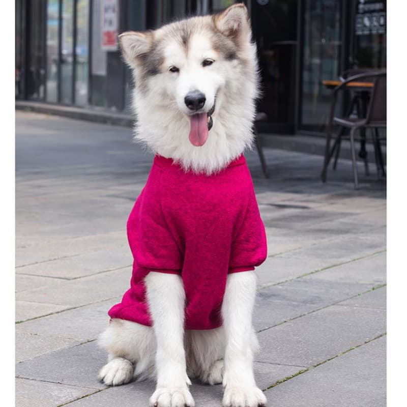 Letters Winter Pet Dog Hoodies Cotton Warm Clothes thumbnail 3