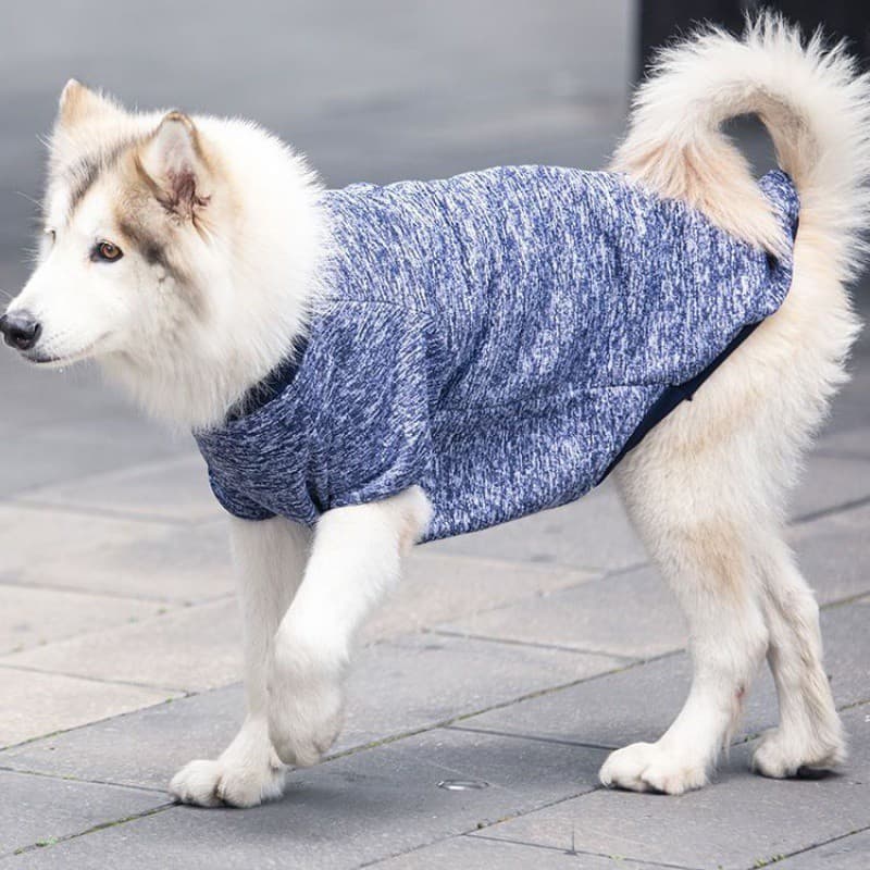 Letters Winter Pet Dog Hoodies Cotton Warm Clothes thumbnail 4