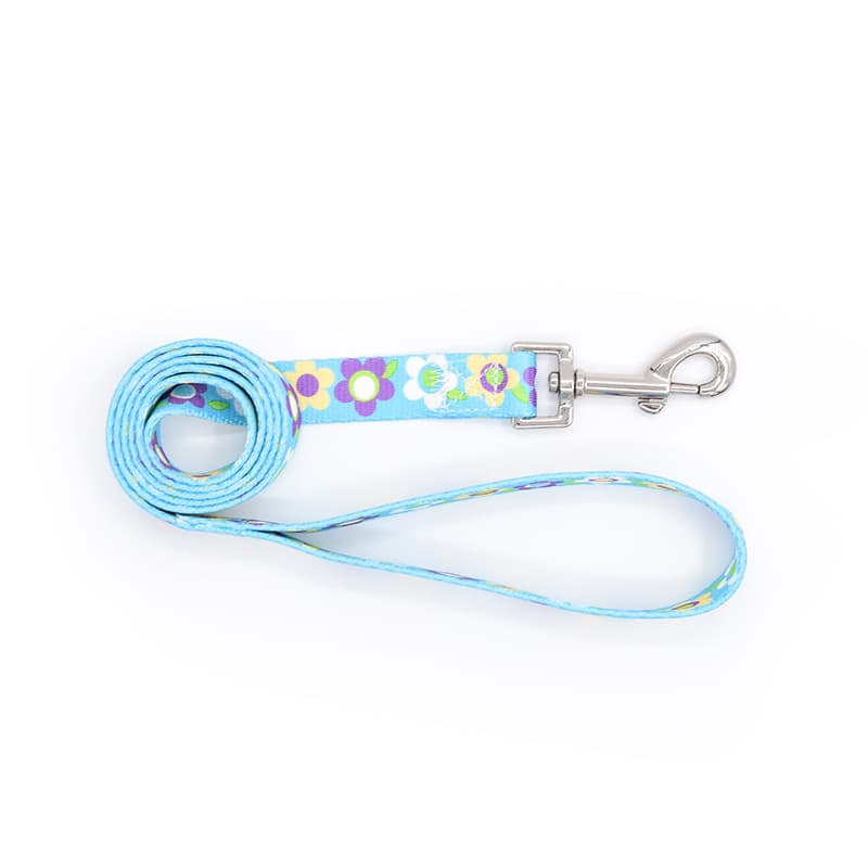 Pet Leash And Collar Set With Buckle thumbnail 4