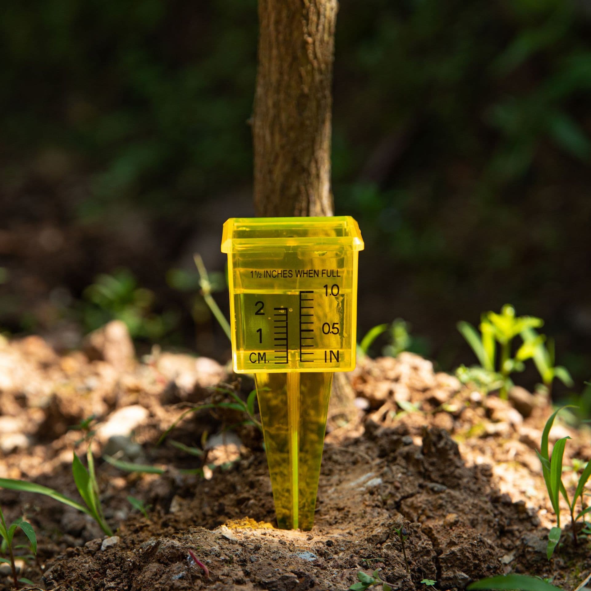 Garden Rain Sprinkler Water Gauge thumbnail 3