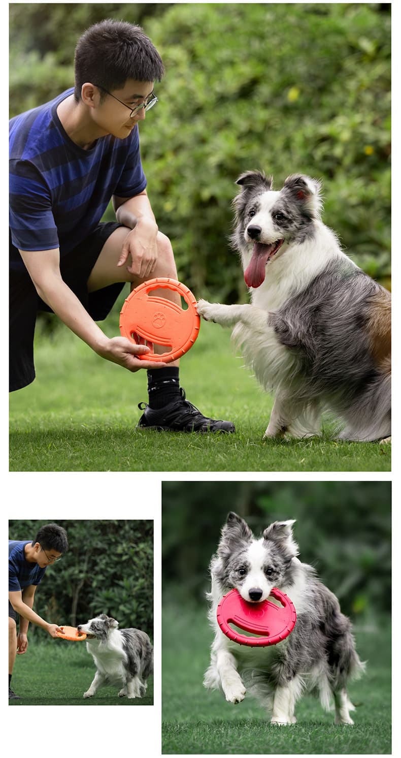 Pet Interactive Toys Flying Saucer thumbnail 2