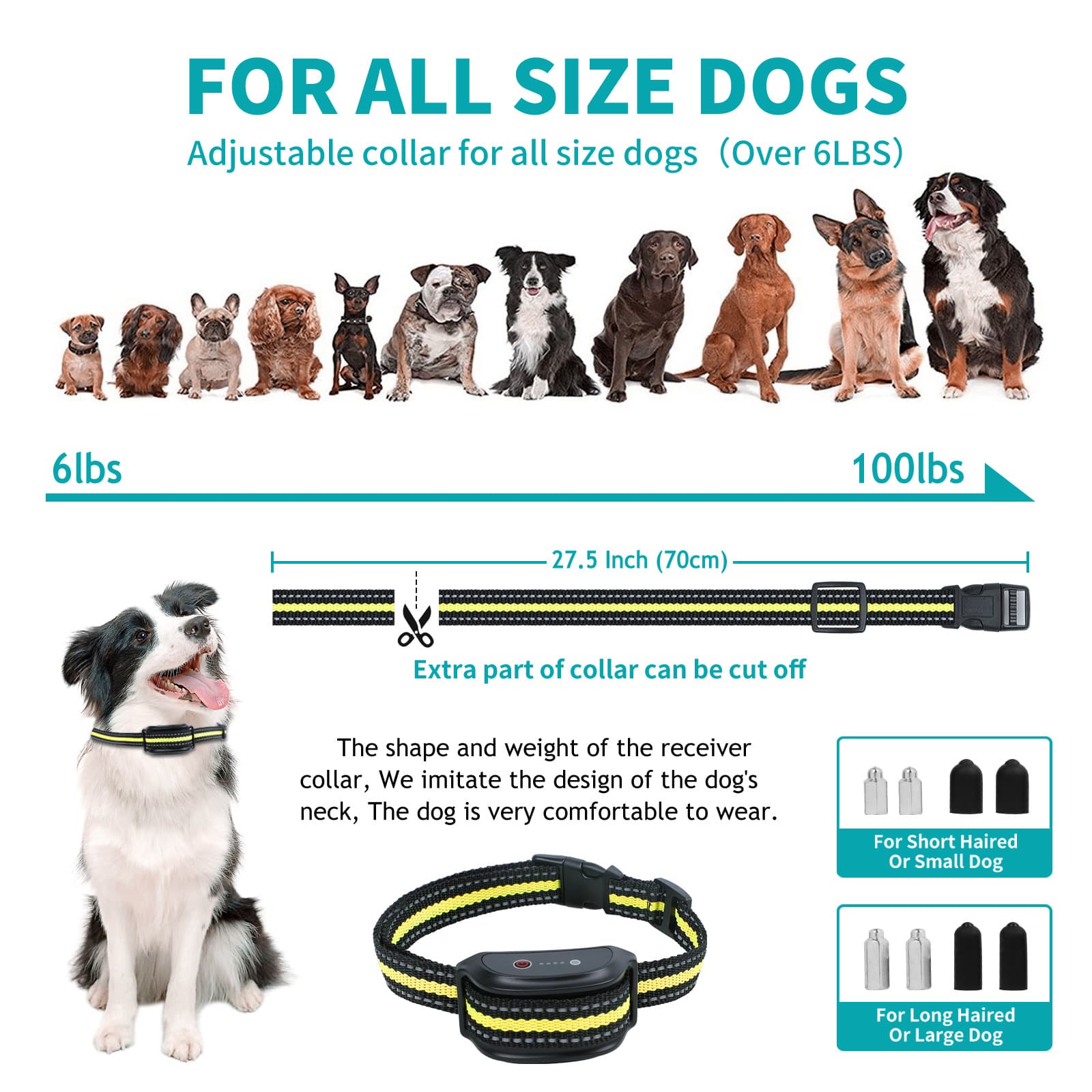 Dog Training Collar with Remote thumbnail 8