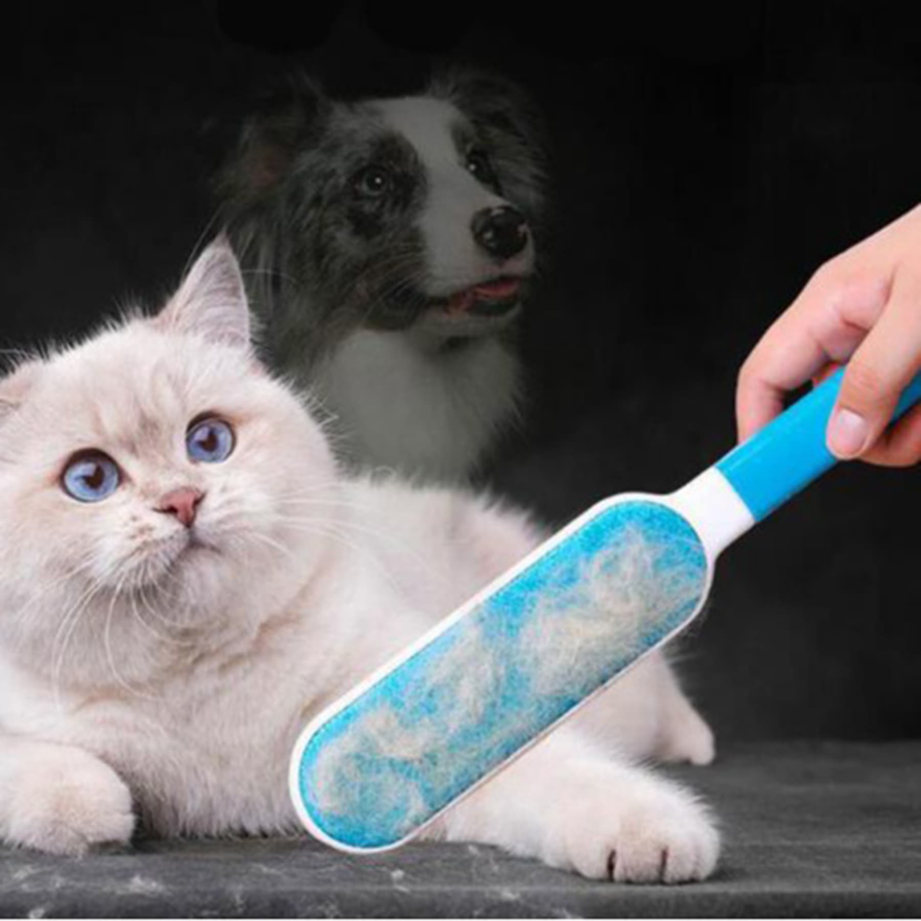 Reusable Pet Hair Remover Brush thumbnail 5