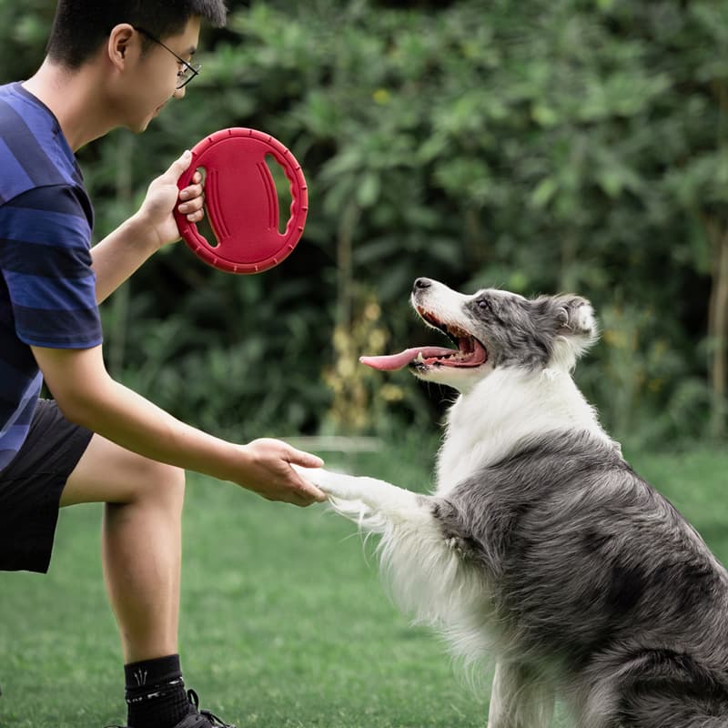Pet Interactive Toys Flying Saucer