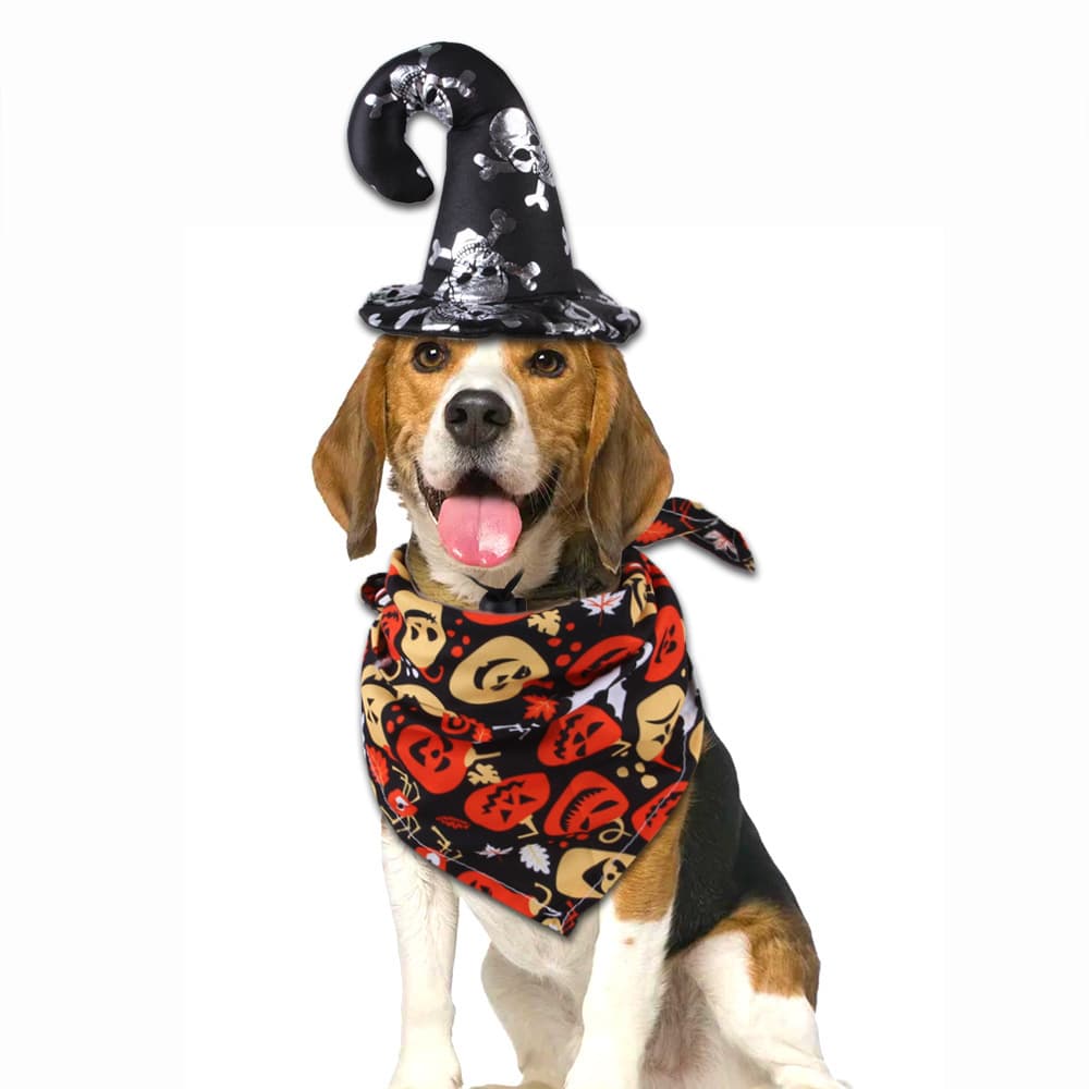 Halloween Hat/Scarf Decoration For Pet thumbnail 6