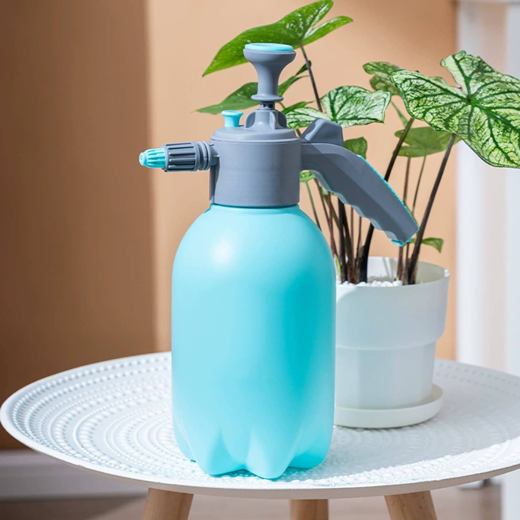 Pneumatic Spray Bottle