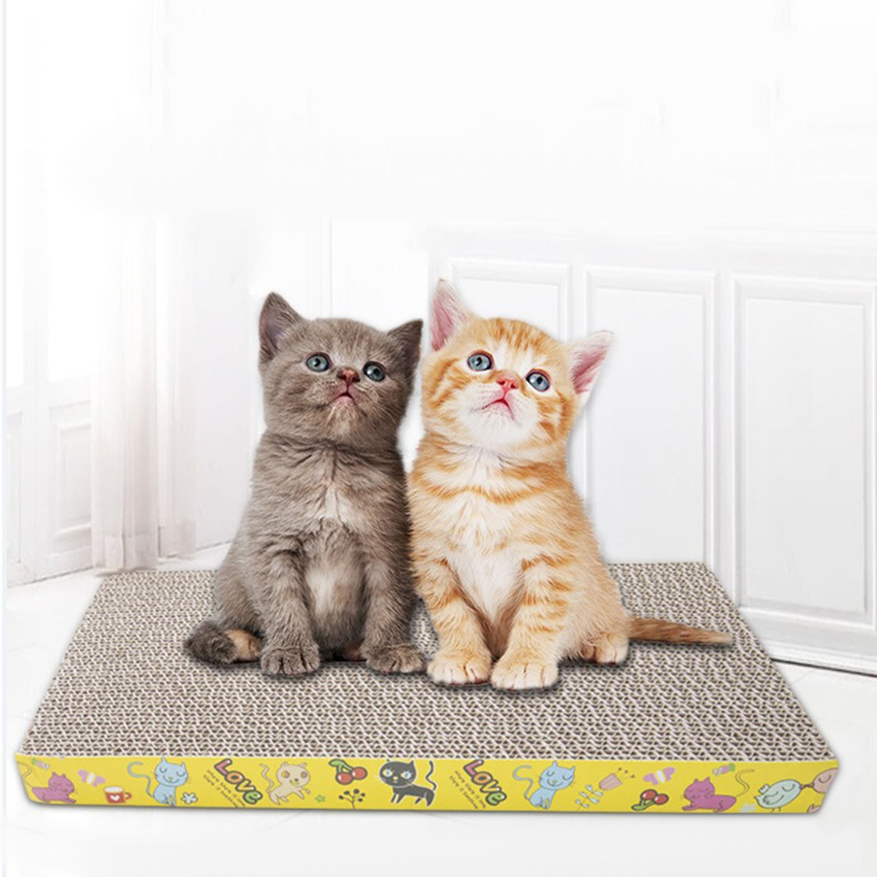 Cat Scratch Pad