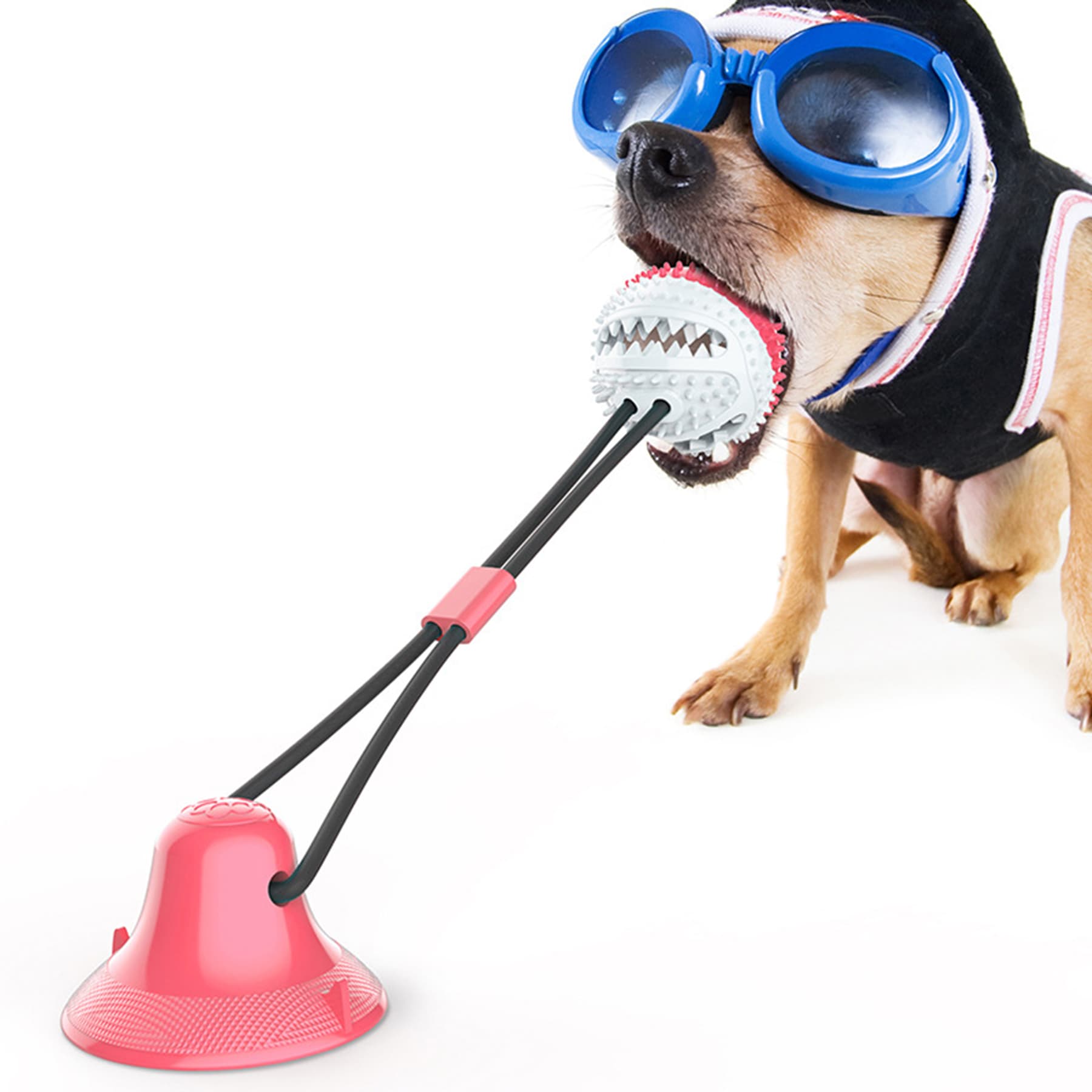 Chew Toys For Dogs With Suction Cups