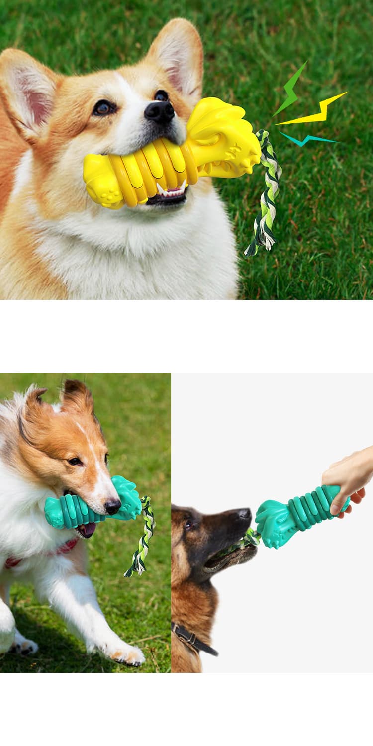 Plastic InteractivePet Chew Toys Pet Supplies