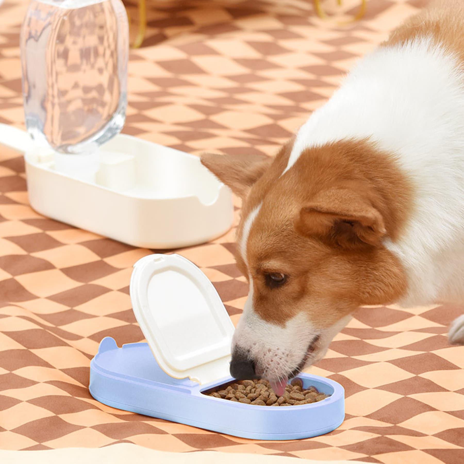 2-in-1 Pet Food and Water Bowl