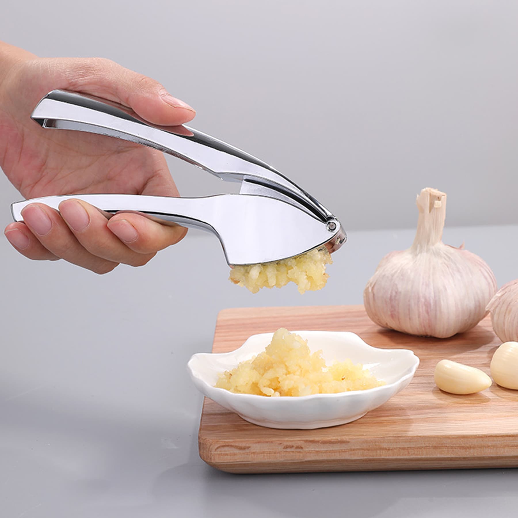 Stainless Steel Garlic Press