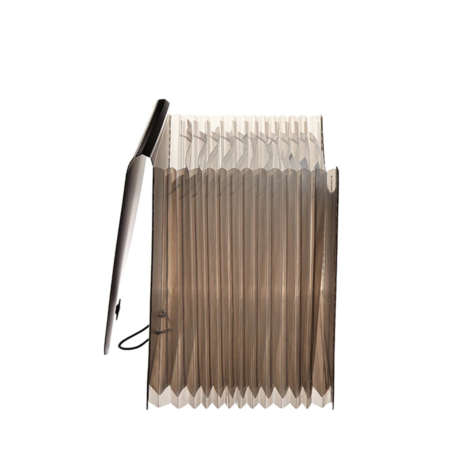 Expanding Organizer File Folder