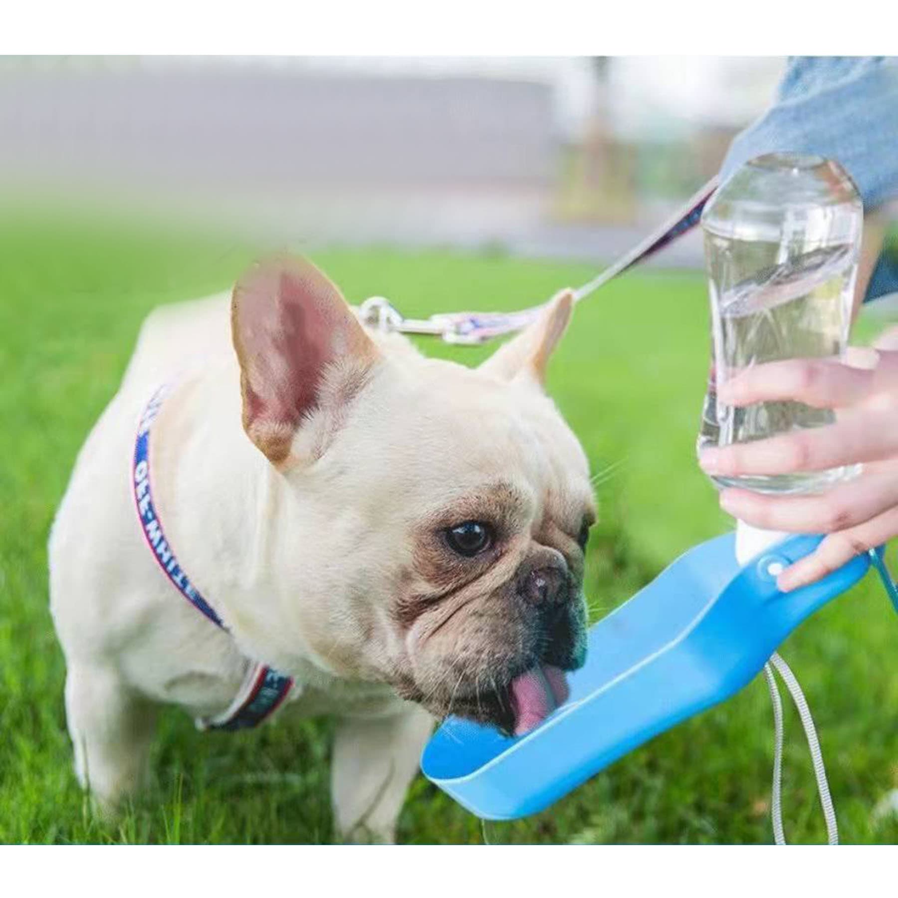 Pet Outdoor Water Cup
