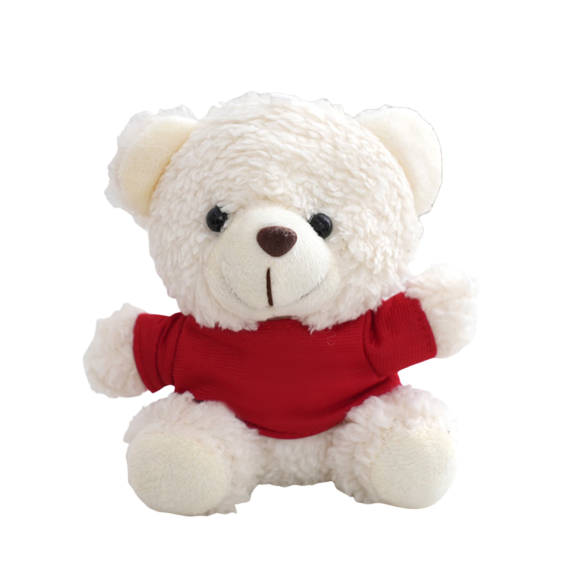 Teddy bear keychain