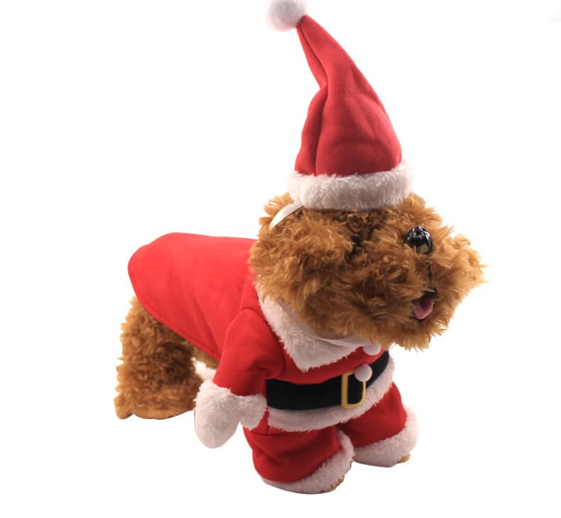 Pet Costume
