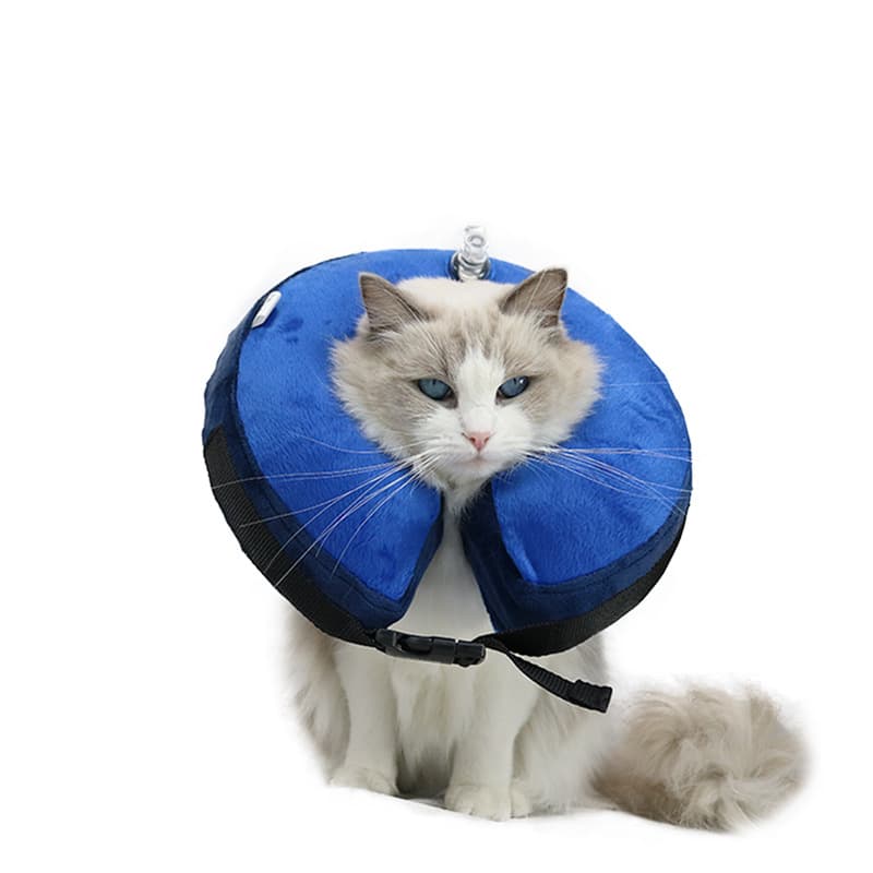 Inflatable Pet Cone Collar