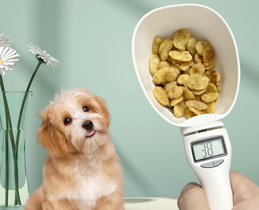 Digital Scale Spoon with LCD Display