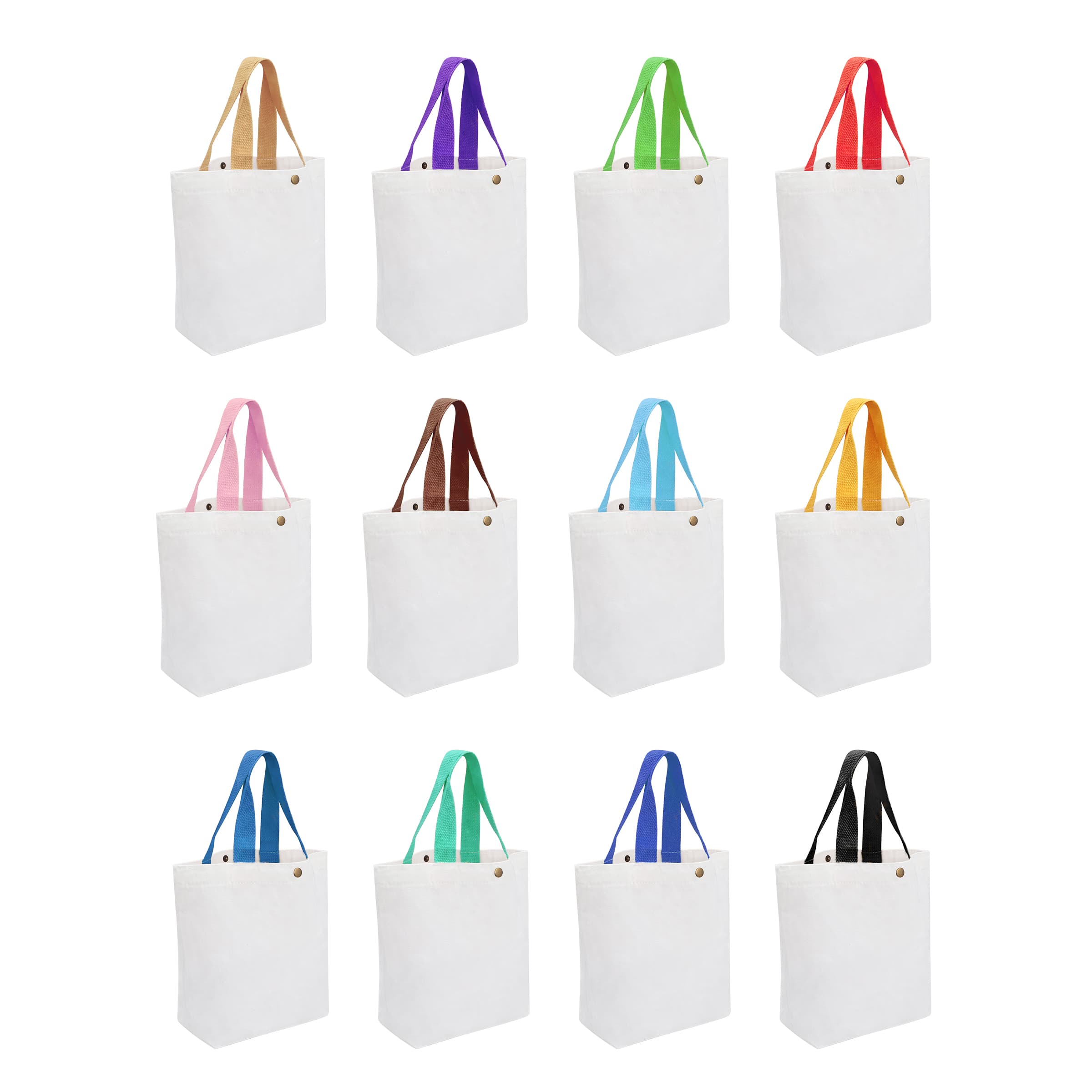 Small Canvas Tote Bag With Colorful Handle & Snap Closure